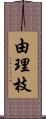 由理枝 Scroll