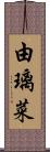由璃菜 Scroll