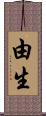 由生 Scroll