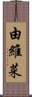 由維菜 Scroll