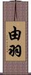 由羽 Scroll