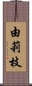 由莉枝 Scroll