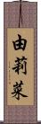 由莉菜 Scroll