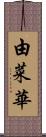 由菜華 Scroll