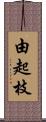 由起枝 Scroll