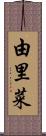 由里菜 Scroll