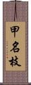 甲名枝 Scroll