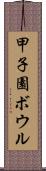 甲子園ボウル Scroll