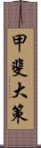 甲斐大策 Scroll