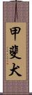 甲斐犬 Scroll