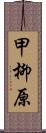 甲柳原 Scroll