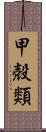 甲殻類 Scroll