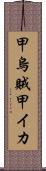 甲烏賊 Scroll