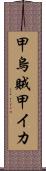 甲烏賊 Scroll