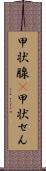 甲状腺(P) Scroll