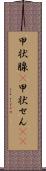 甲状腺(P) Scroll