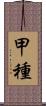 甲種 Scroll