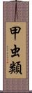 甲虫類 Scroll