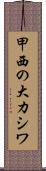 甲西の大カシワ Scroll