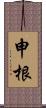 申根 Scroll