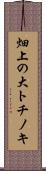 畑上の大トチノキ Scroll