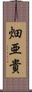 畑亜貴 Scroll