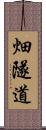 畑隧道 Scroll