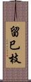 留巳枝 Scroll