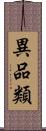 異品類 Scroll