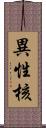 異性核 Scroll
