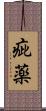 疵薬 Scroll