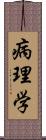 病理学 Scroll