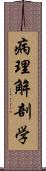 病理解剖学 Scroll