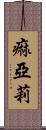 痲亞莉 Scroll
