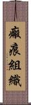 瘢痕組織 Scroll