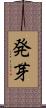 発芽 Scroll