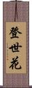 登世花 Scroll
