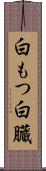 白もつ Scroll