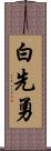 白先勇 Scroll