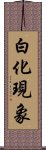 白化現象 Scroll