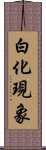 白化現象 Scroll