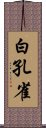 白孔雀 Scroll