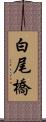 白尾橋 Scroll