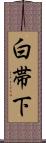 白帯下 Scroll