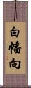 白幡向 Scroll