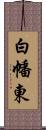 白幡東 Scroll