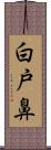 白戸鼻 Scroll