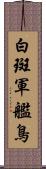 白斑軍艦鳥 Scroll