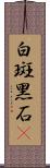 白斑黑石䳭 Scroll