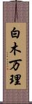白木万理 Scroll